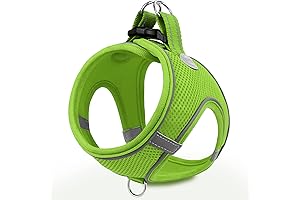Joytale Lime Green Dog Harness: Comfort and Visibility for Your Furry Friend