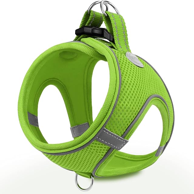 Joytale Step in Dog Harness,Soft Mesh Reflective Breathable Vest Harnesses,Easy Walk Harness with Safety Buckle for Extra Small and Small Dogs,S,Green