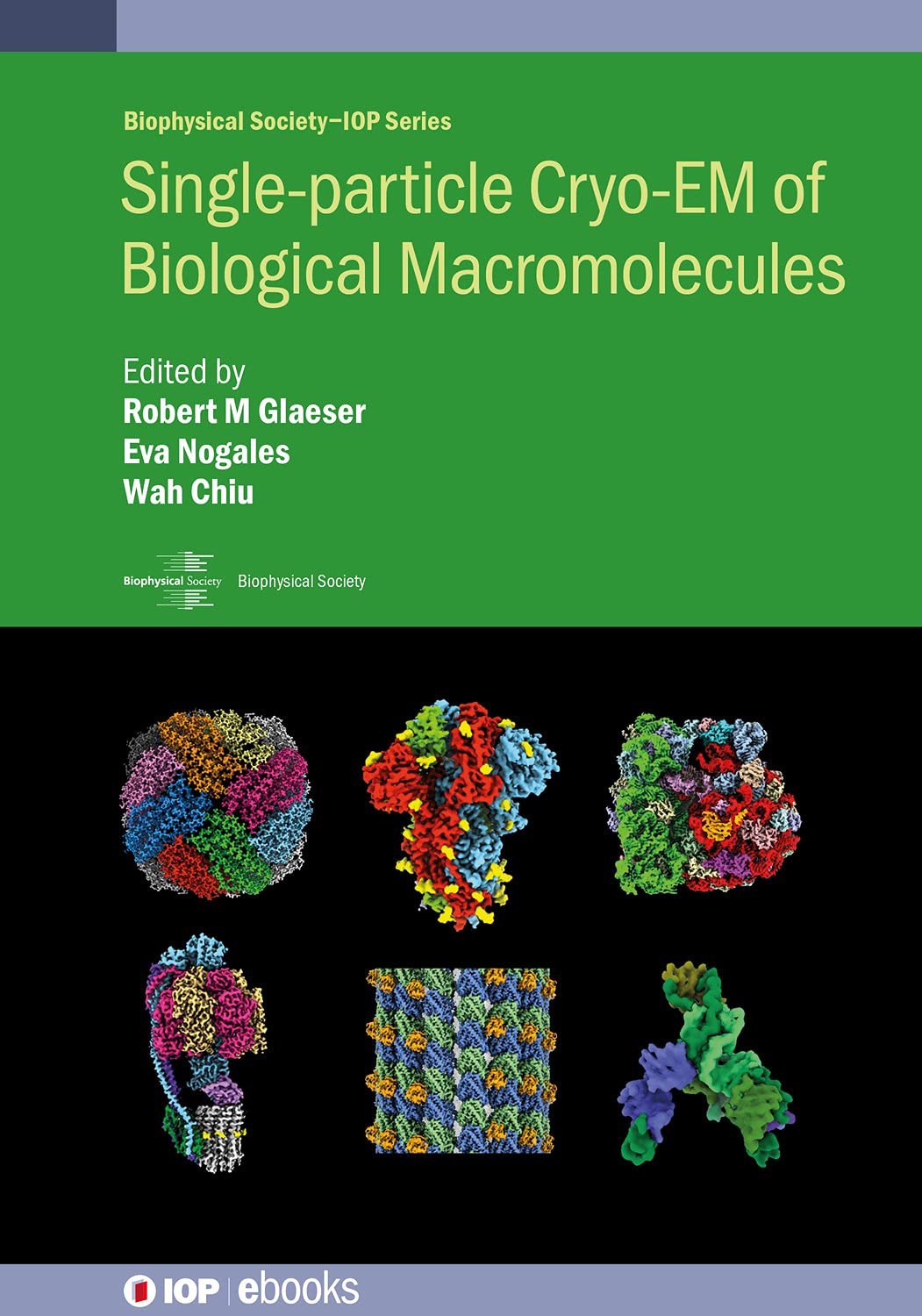Single-particle Cryo-EM of Biological Macromolecules (Biophysical Society-IOP Series) (English Edition)