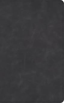 NASB Verse-by-Verse Reference Bible, Holman Handcrafted Collection, Marbled Slate Premium Calfskin, Black Letter, Two-Color Design, Bold Chapter/Verse Numbers, Cross-Reference System, Full-Color Maps