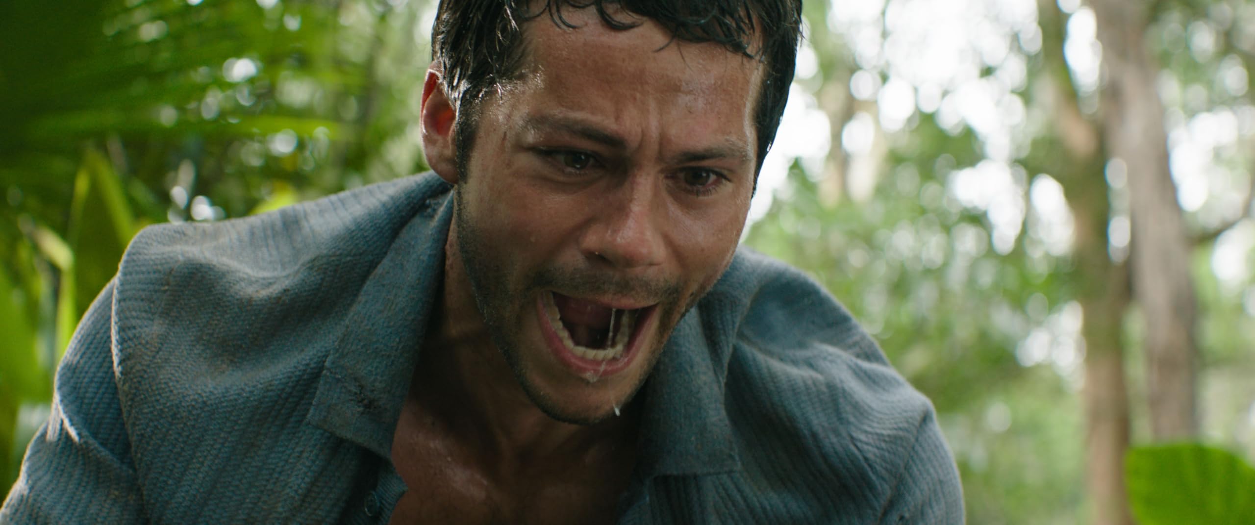 Send HelpBlu-ray product thumbnail 8