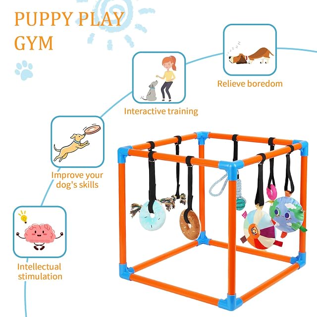 Foto 7 de 7 de Liitrton Puppy Play Gym para perros pequeños con 8 juguetes colgantes