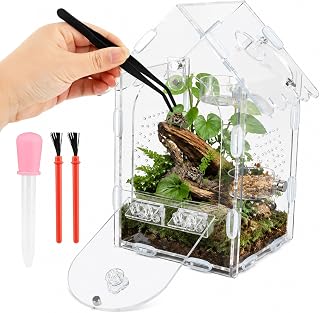 Jumping Spider Enclosure Kit, Clear Acrylic Reptile Enclosure Bug Habitat, Terrarium for Tarantulas, Mantis,Hermit Crabs,Snail(5" X 4" X 8")
