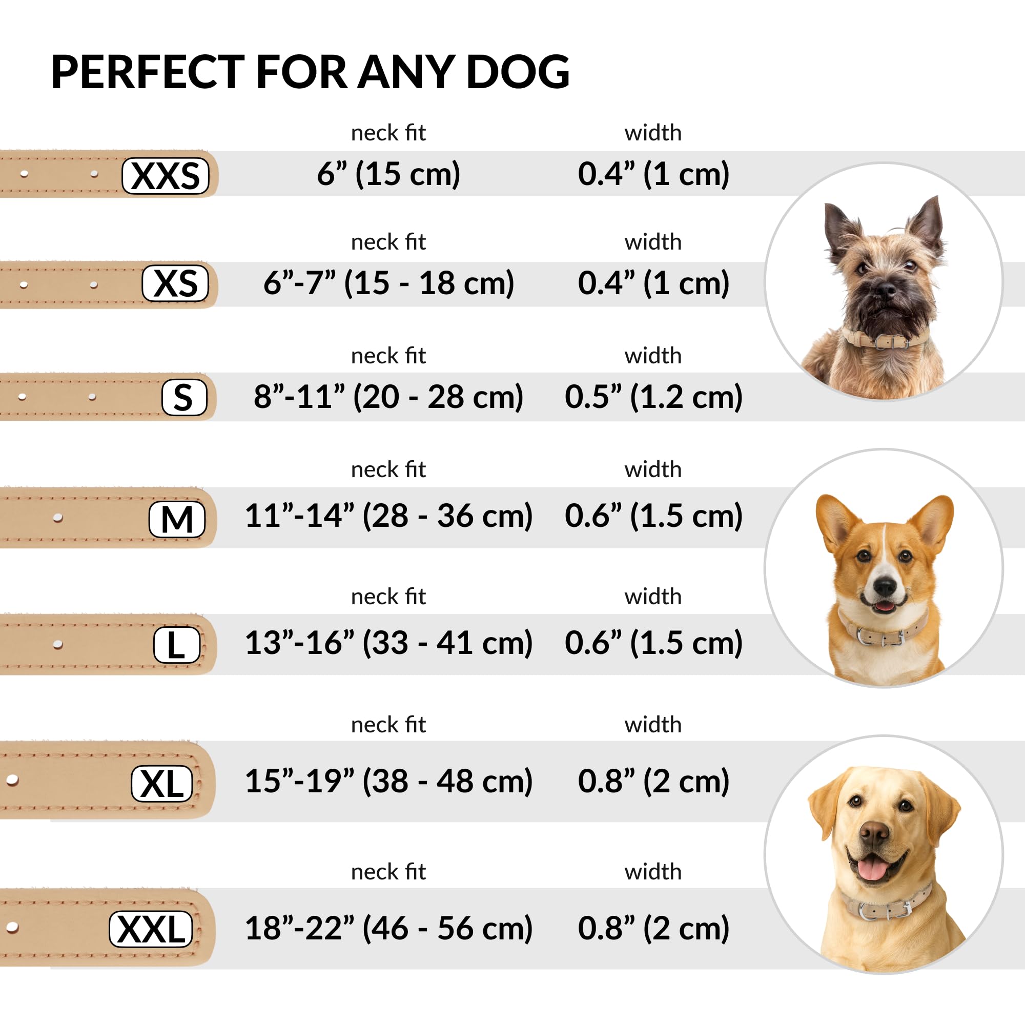 Echt Leer Hondenhalsband Met Handvat - XL Kraag voor Grote Honden, Berghonden, Bully, Duitse Shepard (Blauw