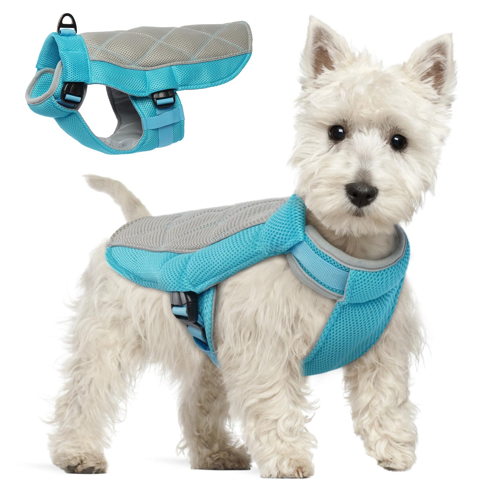 Gilet Rafraichissant pour Chien, Manteau Confortable de Refroidissement Respirant Harnais pour Journées Chaudes d'Eté, Bleu S