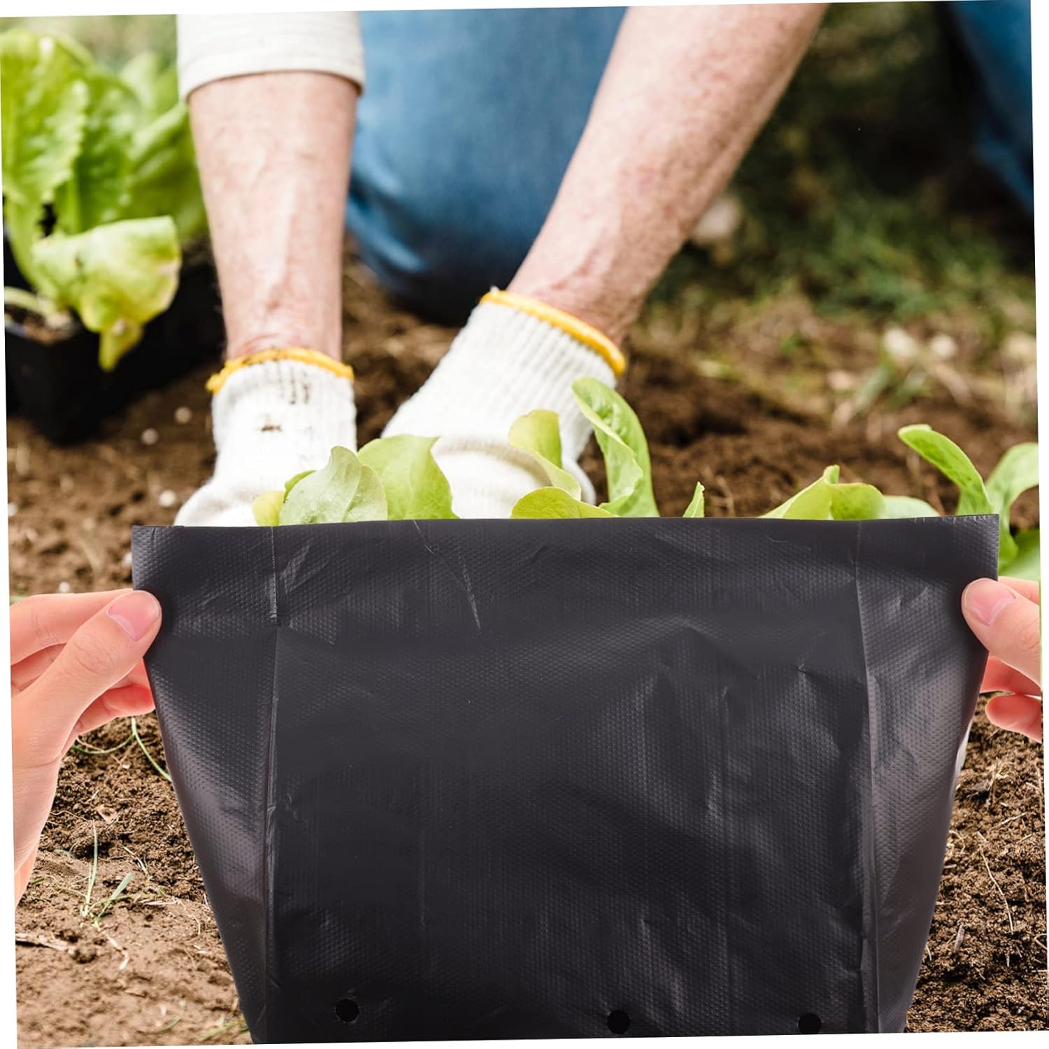 Toyvian 100pcs Planting Bags for Pe Nursery Pouches for Trees for Home Gardening Water Retentive and Root
