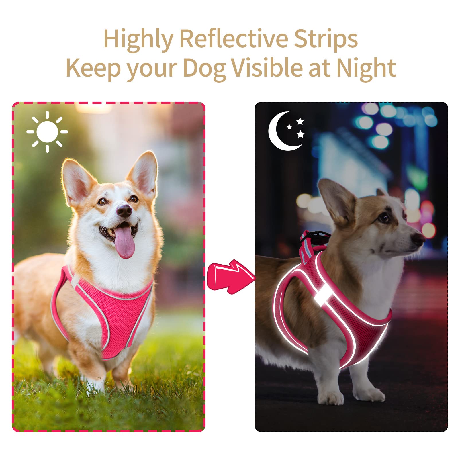 HEELE Arnes Perro Pequeño con Lineas Reflecantes Arnés Perro Antitirones Ajustable Suave Acolchado Cómodo para Viajar Pasear con Mascota, Flores Nanranja, S — view 72