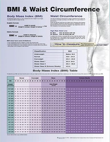 Tabla de circunferencia de cintura IMC