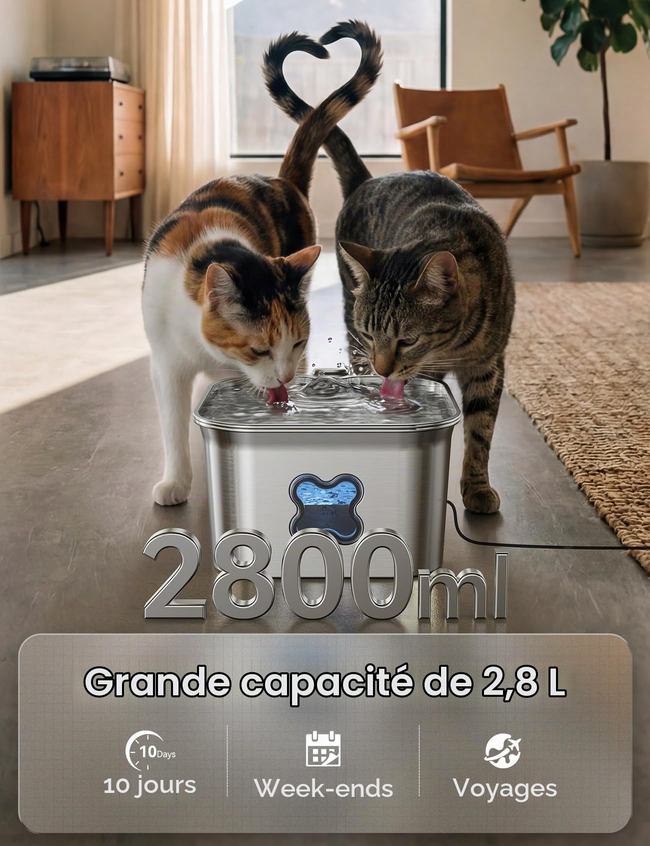 FEELNEEDY Fontaine a Eau Chat INOX 2,8L avec 6 Packs de Filtres et 6 Packs d'Éponges de Remplacement