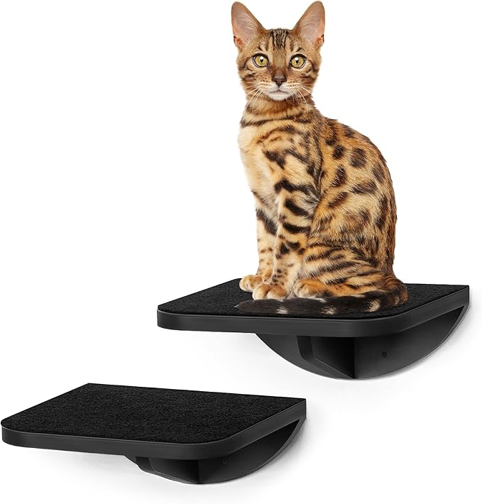 Cat Climbing Wall by Pine Wood: Ergonomic with Scratching Mats