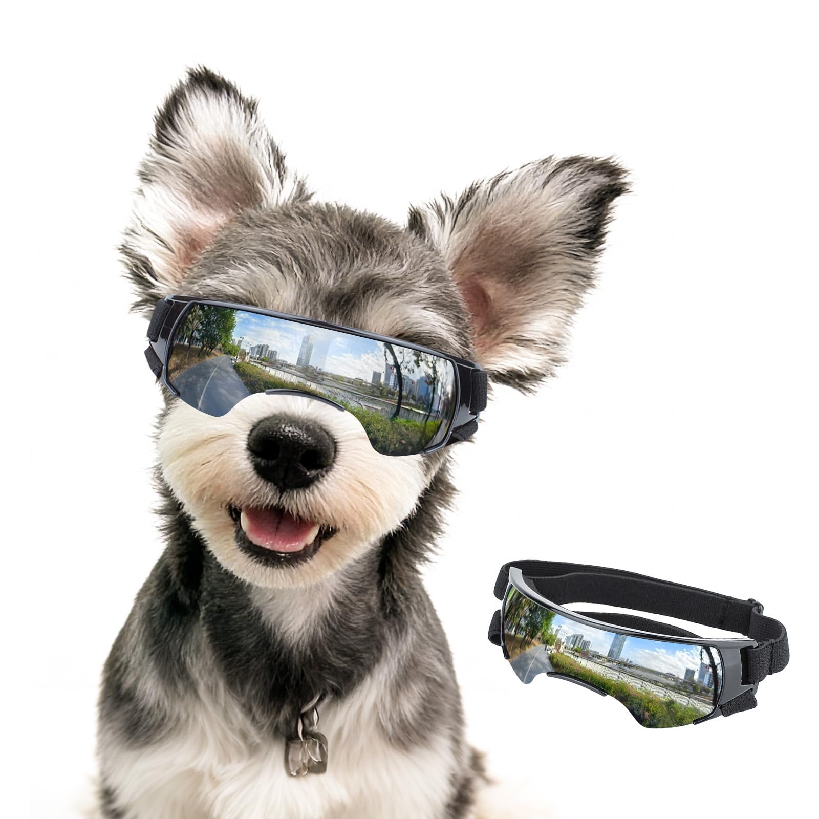 Lunettes de soleil pour chien de petite taille avec sangles réglables noires