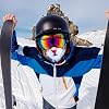 Pasamontañas 3D de gato para perro, balaclava de seda de hielo transpirable para ciclismo, protector facial para exteriores 3