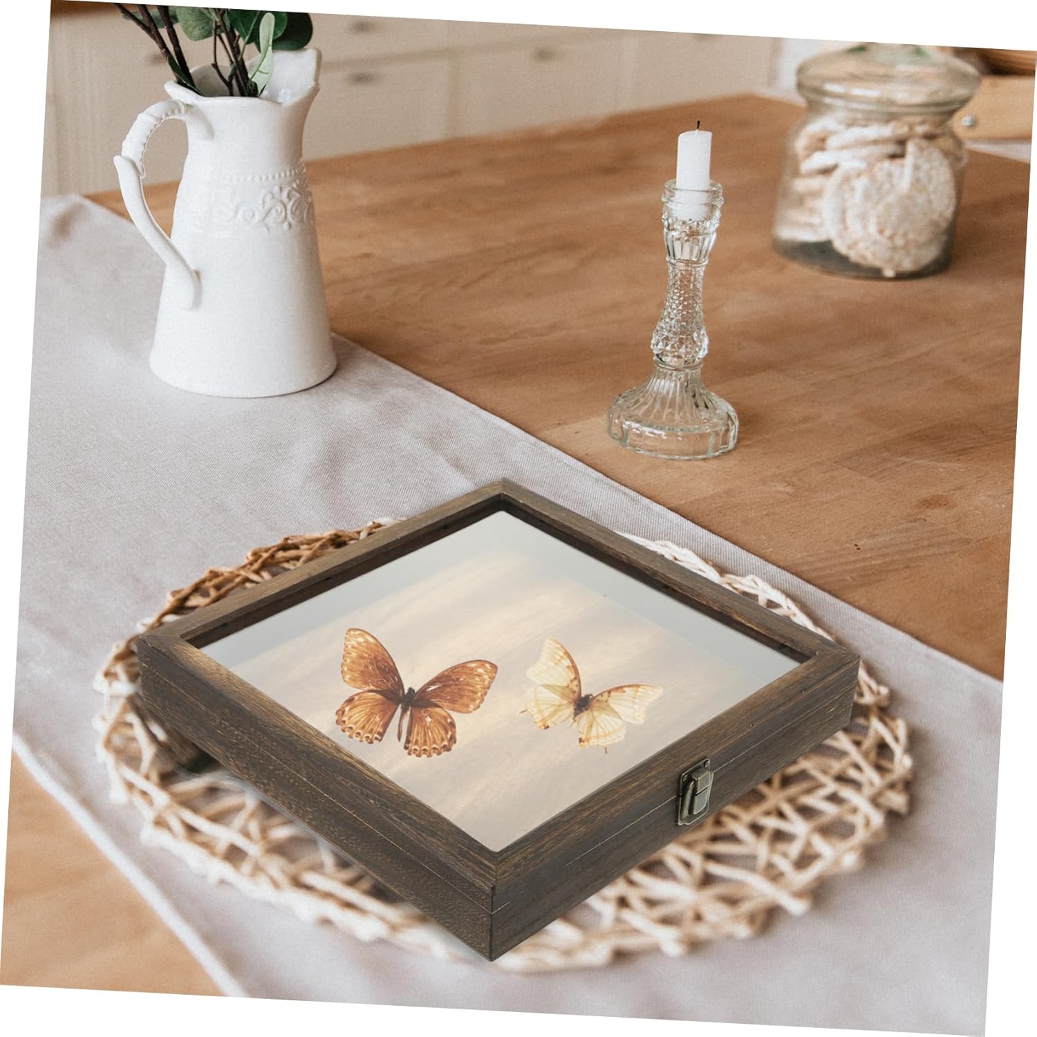 Zerodeko Butterflies Display Case Wooden Insect Specimen Box with Lid Eva Padding and Portable Design for Collecting and Showcasing Specimens Crafts Jewelry and More