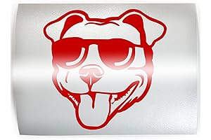 SUNGLASSES PIT BULL Dog