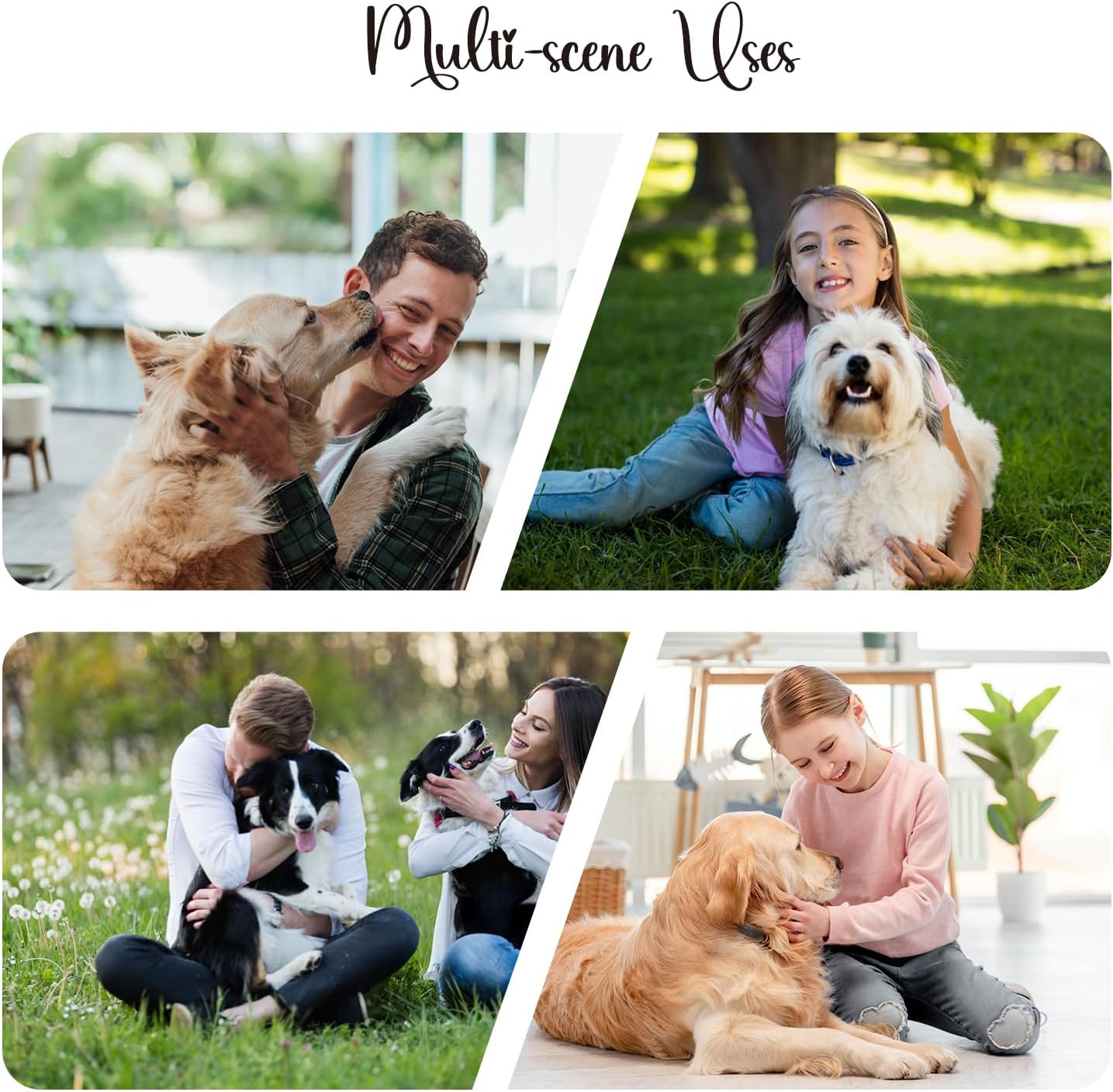 ASTARIN Pet Memorial Suncatcher, Loss of a Dog Sympathy Gift, Pet Memorial Suncatcher for Loss of Dog, Pet Sympathy Loss Passing Away Remembrance Bereavement Gift