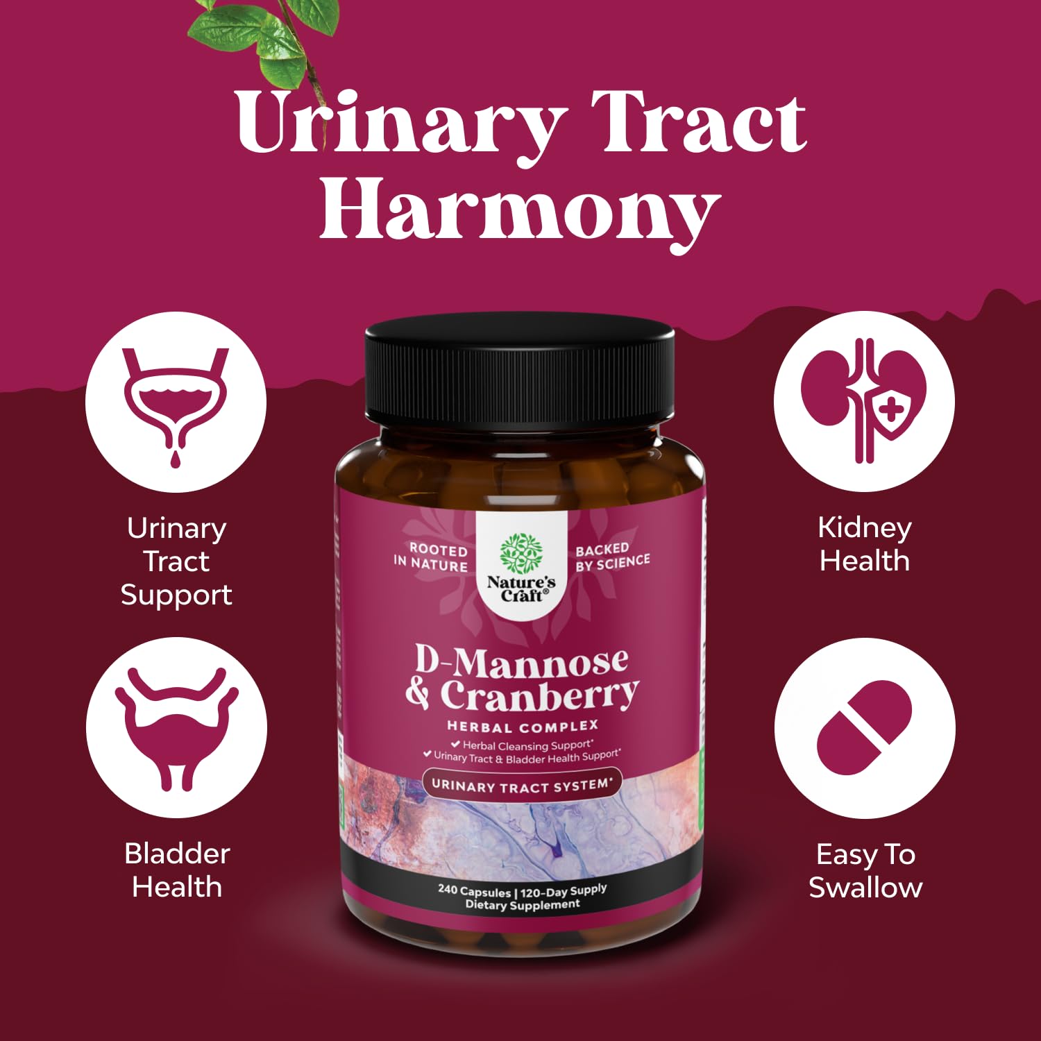 D Mannose with Cranberry Supplement - Urinary Tract Support - 240 Capsules — Amazon image 3
