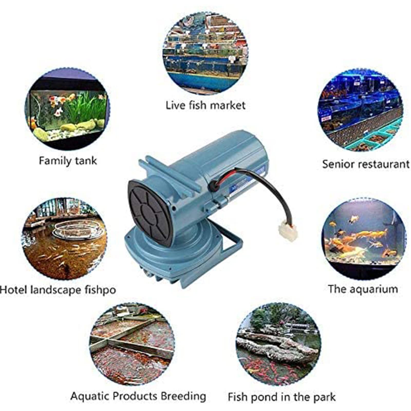 Bomba de Aire para Acuario, Bomba de Aire de 12 V CC, 35 W, aireador para Estanque de Peces, acuicultura, Accesorio de Acuario, Herramienta de compresor de Aire para Tanque de Peces, Fuente, Estanque
