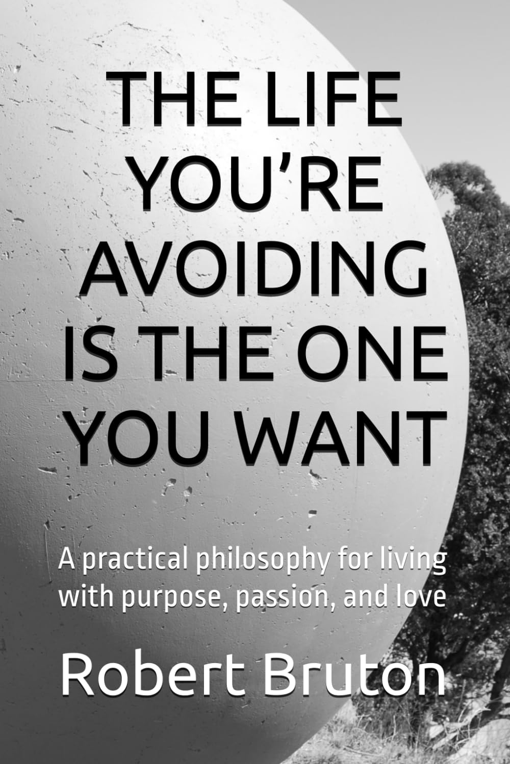THE LIFE YOU’RE AVOIDING IS THE ONE YOU WANT: A practical philosophy for living with purpose, passion, and love