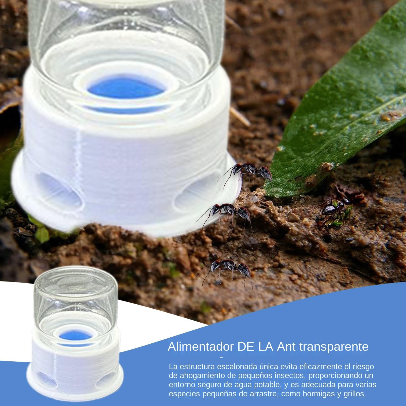JINGLING Cuenco para Alimentar Hormigas - Estación De Agua para Abejas,Bebedero Transparente Antiahogos para Interior, Exterior, Aula, Granja