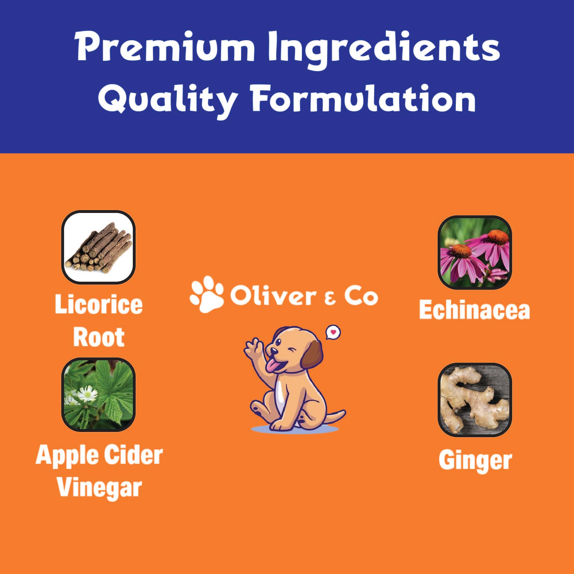 Natural Dog Ear Cleaner and Infection Treatment for Dogs - Dog Drops for Itching, Irritation, & Redness - Ear Infection Treatment for Dogs - 1 fl oz - Bacon Flavor - image 4