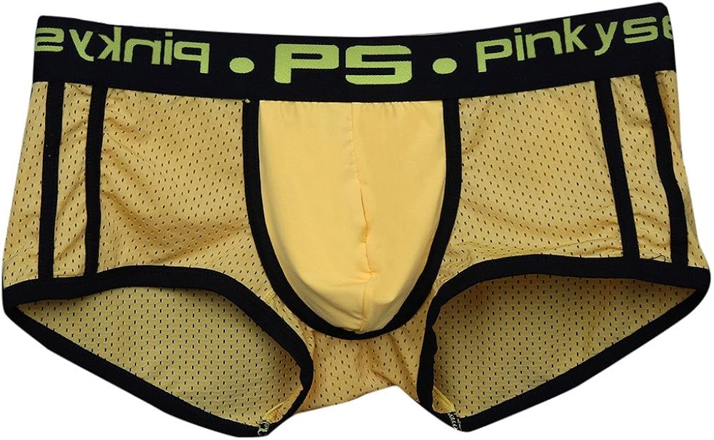 Men Mesh Underwear Sheer Sexy Seethrough Boxer Trunks Underpants Low