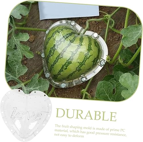 Miniatura 5 de Herramienta de jardín de sandía para crecimiento de plantas, molde de formación de vegetales, fruta transparente, frutas de plástico, herramientas