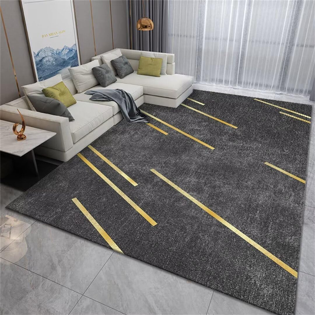 Tapis de salon minimaliste gris 90x160cm déco chambre fille