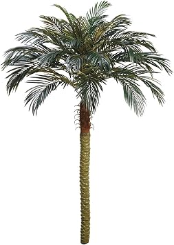 Allstate Artificial Phoenix Palm Trees - 7 - Green - Set of 2
