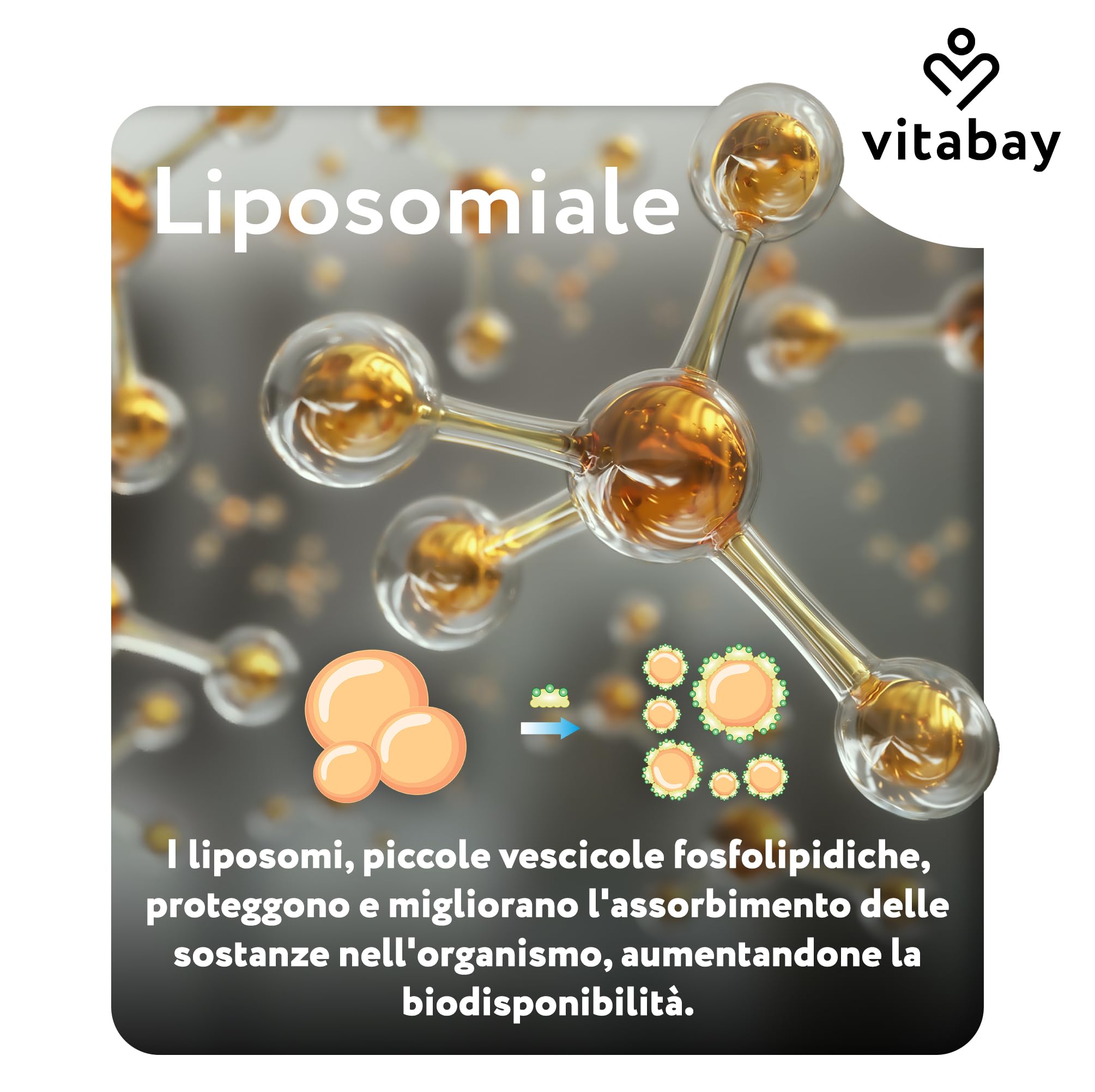 Vitabay Nattokinasi 2.000 FU alto dosaggio – 180 capsule softgel vegane – Nattokinasi liposomiale da soia fermentata – senza vitamina K2, senza additivi & testata in laboratorio – scorta 6 mesi