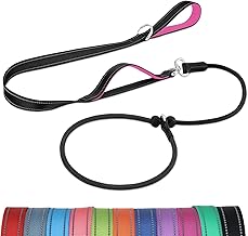 Joytale Double Handle Slip Lead with Pull Stop, 1.8 m Tangle-Free Training Lead for Dogs, Reflective Soft Nylon Lead for Small and Medium Dogs, Black Bright Pink