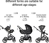 Travel System 3 in 1, from Newborn to Toddler, All-Terrain, One-Hand Fold, High-seat Baby Stroller, Convertible Pram