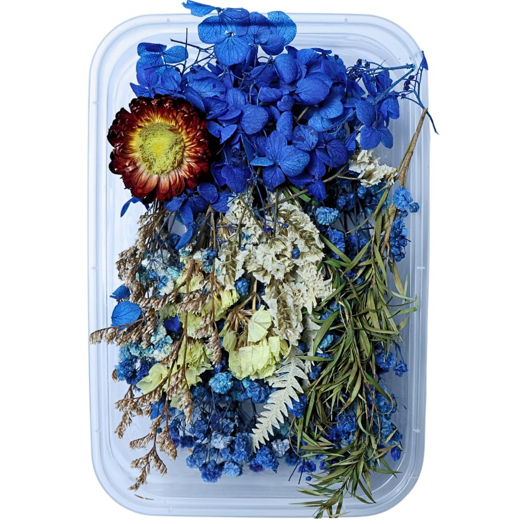 Blue Dry Flower Box These Flowers are Carefully Dried to Keep Their Colors and Shapes, so You can use Them in Jewelry, Coasters, Keychains, and Other Creative Pieces.-image-13