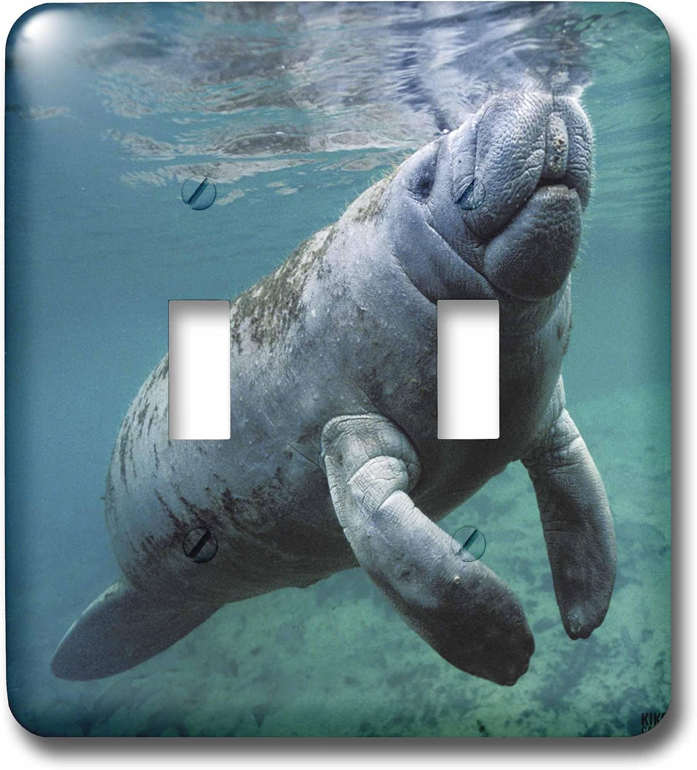 3dRose West Indian Manatee Trichechus manatus 2 plug outlet cover image 3