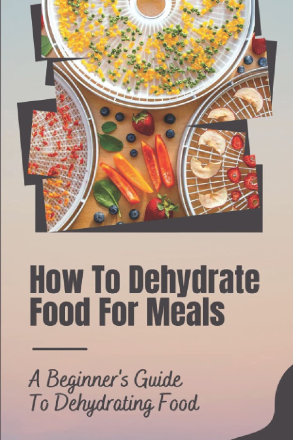 Buy How To Dehydrate Food For Meals A Beginner's Guide To Dehydrating