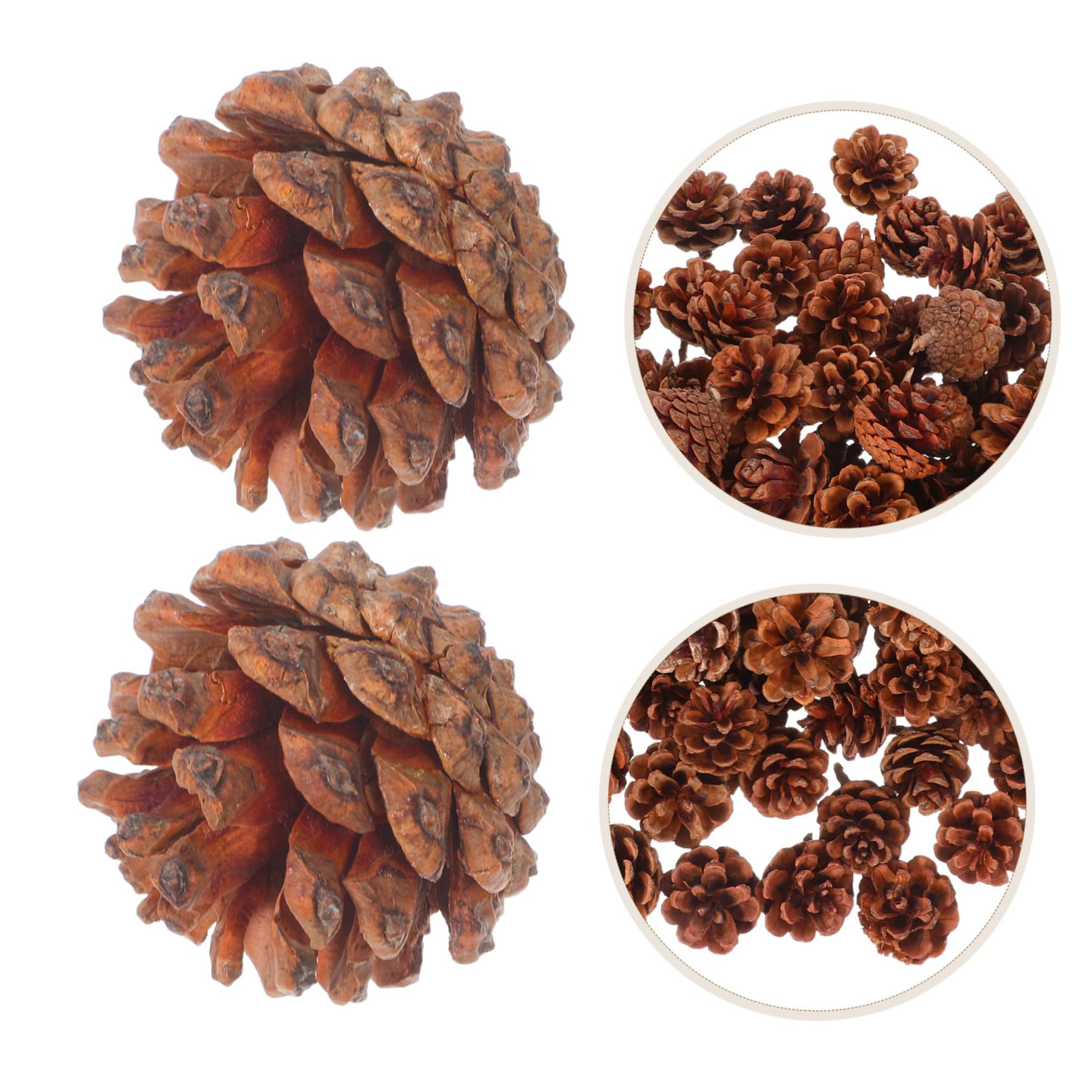 IMIKEYA 130stücke Mini-tannenzapfen Kleine Tannenzapfen für Herbst-DIY-bastelarbeiten Thanksgiving-vasenfüller Winter-weihnachtsdeko Hochzeits-Dekorationen