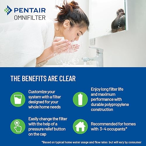 Miniatura 6 de Pentair OMNIFilter Whole Home - Sistema de filtración de agua resistente de 10 pulgadas con alivio de presión, negroazul