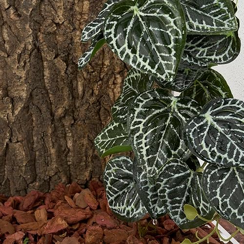 Vista 5 de Paquete de 2 plantas falsas de reptiles para terrario, accesorios de tanque de serpientes, decoración de hábitat, plantas colgantes artificiales