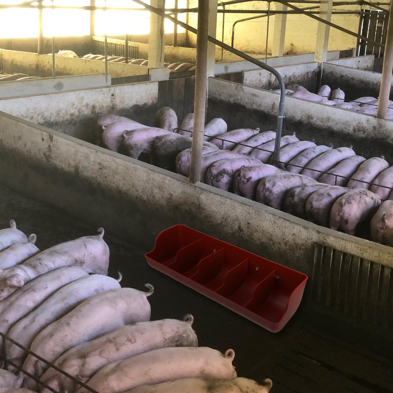 POPETPOP Comederos colgantes para aves de corral: 2 comederos de pollo, contenedor de alimentación de cerdos para pollo, pato, cabra, cerdo, aves de corral, ganado, 5 compartimentos