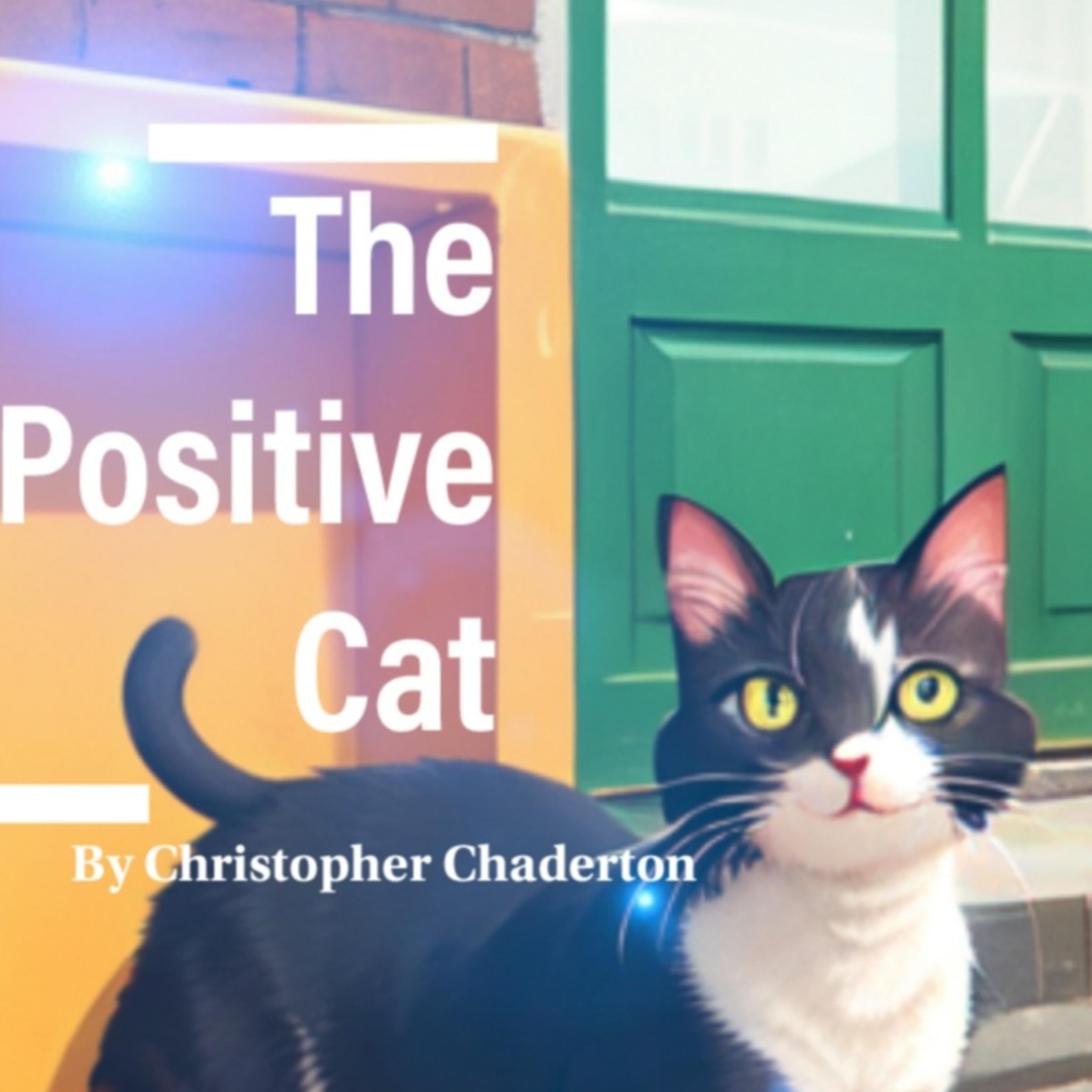 The Positive Cat