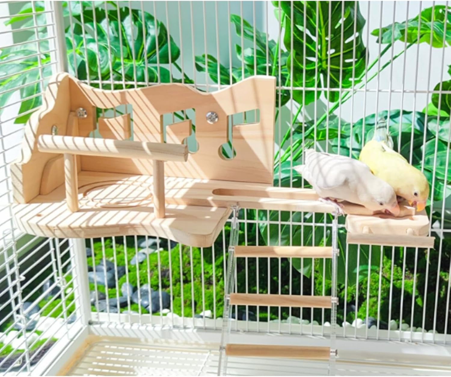 Parrot Climbing Ladder, Bird Wooden Playground with Acrylic Climbing Ladder, Parrot Play Stand for Green Cheek Conures, Lovebirds, Budgies, Cockatiels, Hamsters