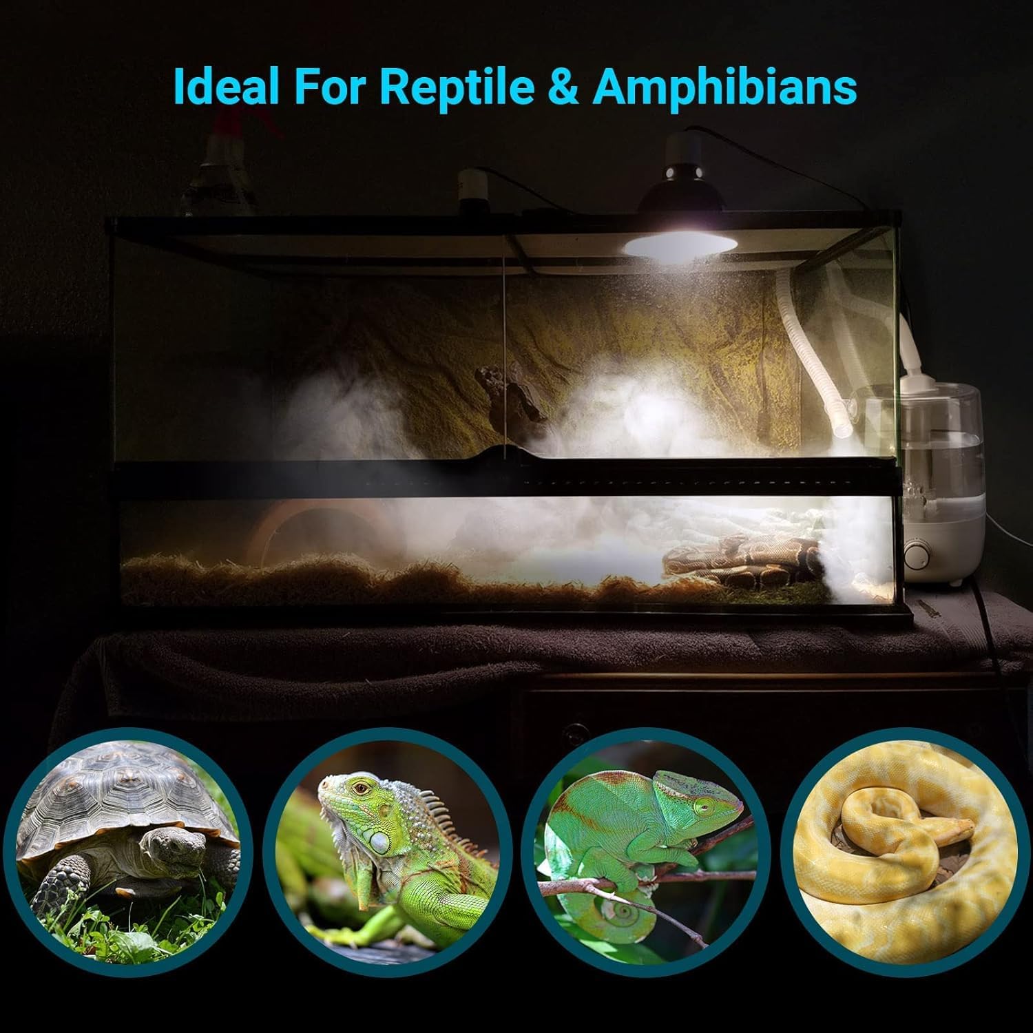 INKBIRDPLUS Humidificador para Reptiles, Nebulizador para Aumentar la Humedad, Humidificador Silencioso para Anfibios de Reptiles, Plantas Húmedas con 4L Gran Capacidad