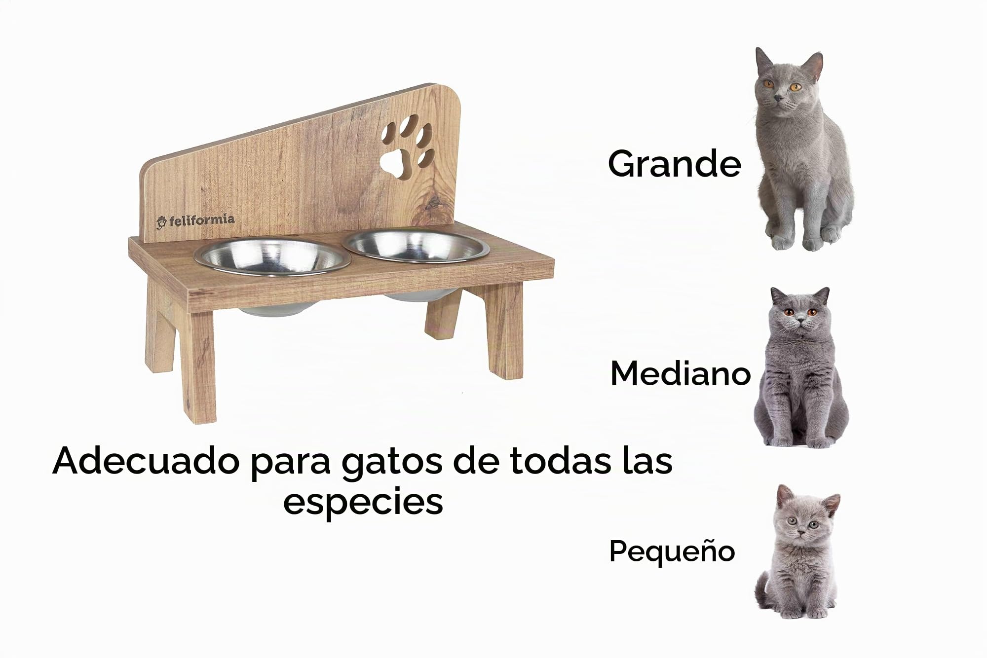 Feliformia® - Cuenco para gatos (600 ml, soporte de madera, con dos cuencos, acero inoxidable)