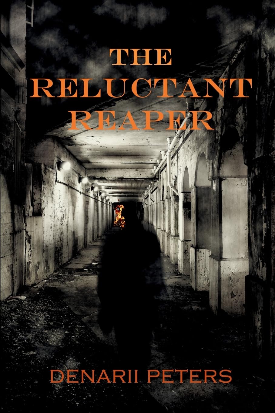 The Reluctant Reaper: 1 (Ross Ferris Trilogy)