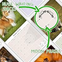 Vista 717 de Razas de Perros 2017