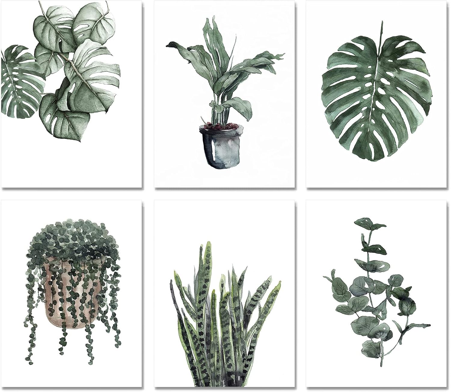 Plant Prints Wall Art Decor for Living Room, Set of 6, 8×10 Unframed