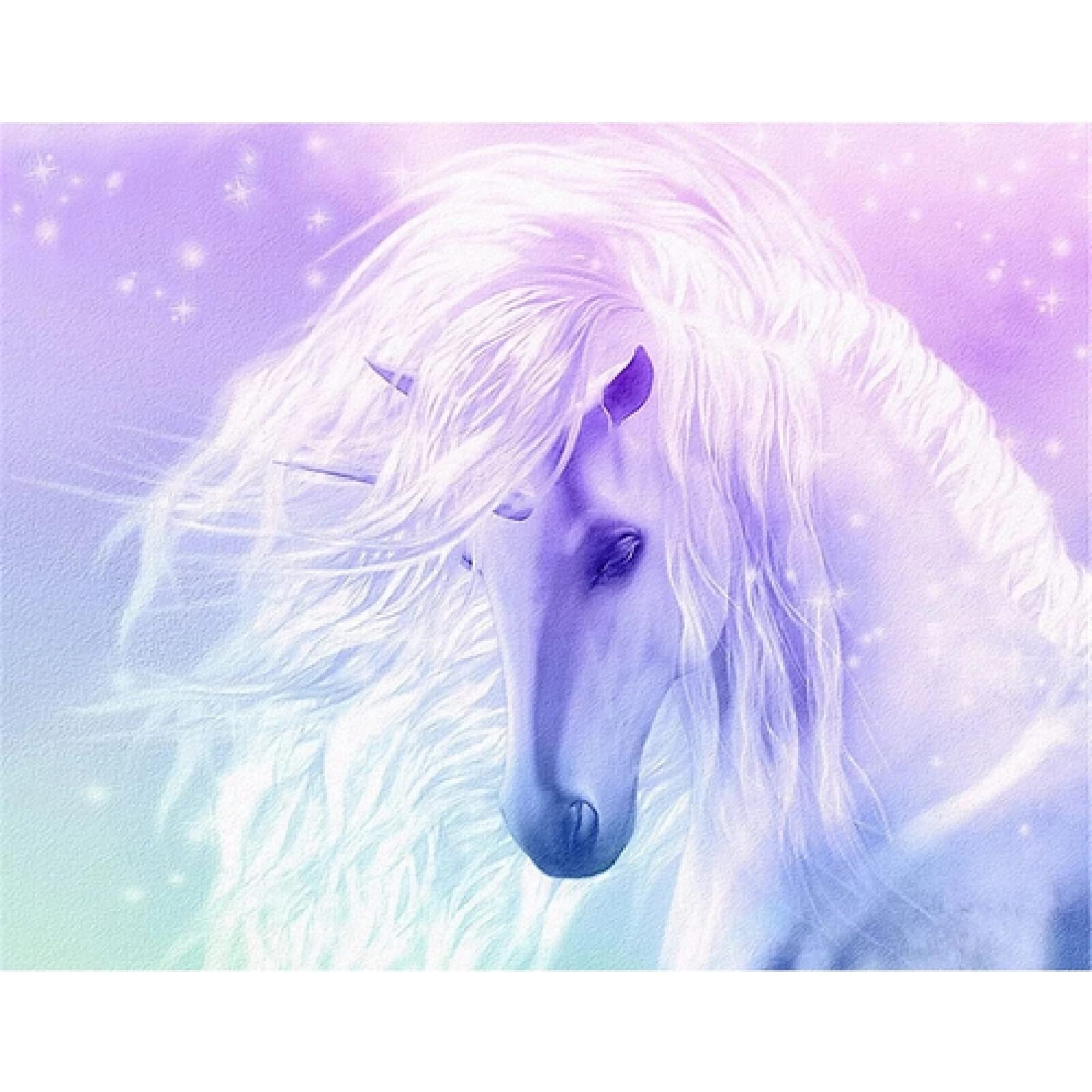 HNE 5D Deux Loups Peinture Diamant Painting Kit DIY Lune Art Du Diamant