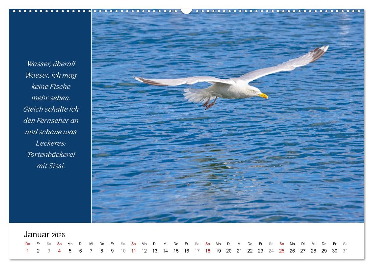 Tiere und feiner Humor (hochwertiger Premium Wandkalender 2026 DIN A2 quer), Kunstdruck in Hochglanz: Tiere in schönsten Bildern mit lustigen Sprüchen. (CALVENDO Spass)