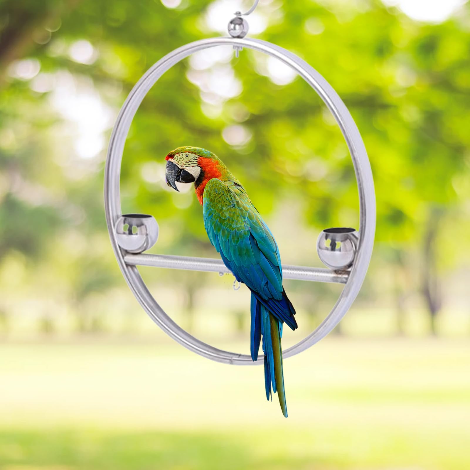 Perchas para Aves de Interior Estante Decorativo Colgante De Acero | Percha Circular De Entrenamiento Con Gancho Y Comederos Para Jaulas de Mascotas Interior Exterior Ventana Balcón Jar