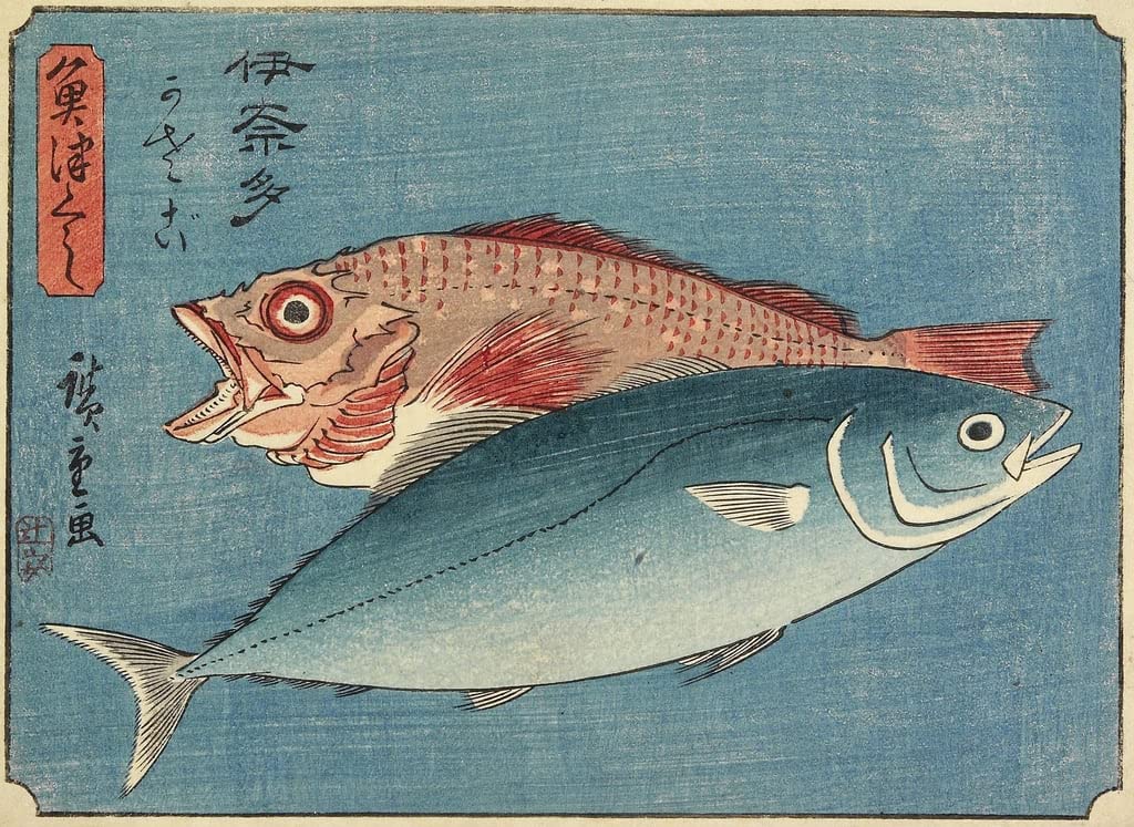 Poster queue jaune et sébaste Hiroshige 50x70cm pour déco japonaise - 4