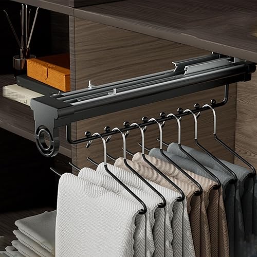 Pull Out Rod for Wardrobe Organizer, Thickened aluminum alloy, with Pull Handle Closet Pull Out Clothes Hanger, Double row damping slide rail,